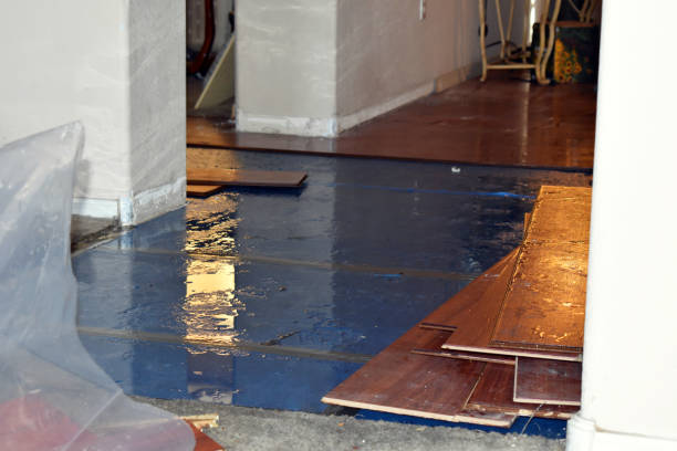 Professional Flood Cleanup technician working in Bremen, IN